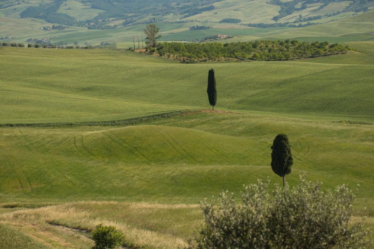 Agriturismo La Poderina Bagno Vignoni Exteriör bild